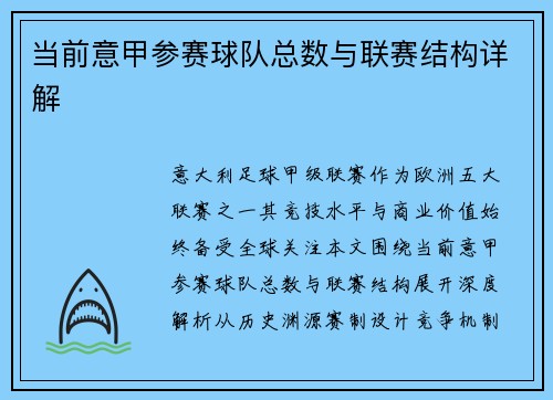 当前意甲参赛球队总数与联赛结构详解