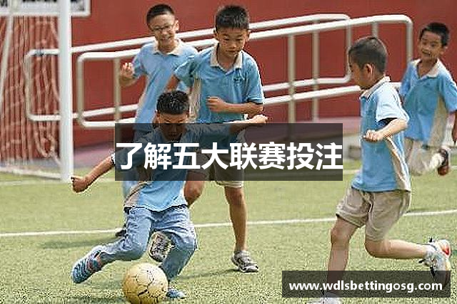 了解五大联赛投注